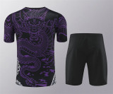 24-25 Real Madrid (Training clothes) Set.Jersey & Short High Quality