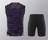 24-25 Real Madrid (vest) Set.Jersey & Short High Quality