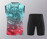 24-25 Real Madrid (vest) Set.Jersey & Short High Quality