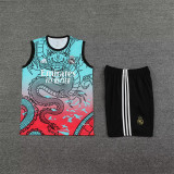 24-25 Real Madrid (vest) Set.Jersey & Short High Quality