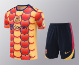 24-25 FC Barcelona (Training clothes) Set.Jersey & Short High Quality
