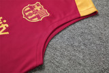 24-25 FC Barcelona (vest) Set.Jersey & Short High Quality