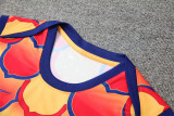 24-25 FC Barcelona (vest) Set.Jersey & Short High Quality