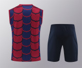 24-25 FC Barcelona (vest) Set.Jersey & Short High Quality