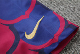 24-25 FC Barcelona (Training clothes) Set.Jersey & Short High Quality