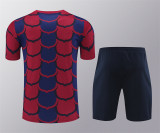 24-25 FC Barcelona (Training clothes) Set.Jersey & Short High Quality