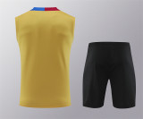 24-25 FC Barcelona (vest) Set.Jersey & Short High Quality