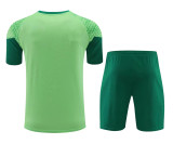 24-25 SE Palmeiras (Training clothes) Set.Jersey & Short High Quality