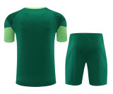 24-25 SE Palmeiras (Training clothes) Set.Jersey & Short High Quality