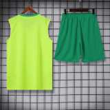 24-25 SE Palmeiras (vest) Set.Jersey & Short High Quality