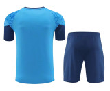 24-25 SE Palmeiras (Training clothes) Set.Jersey & Short High Quality