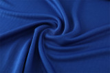 2024 Netherlands (blue) Adult Sweater tracksuit set Training Suit