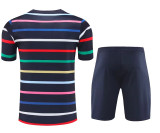 2024 France (Training clothes) Adult Jersey & Short Set Quality