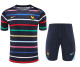 2024 France (Training clothes) Adult Jersey & Short Set Quality