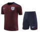 24-25 England (Training clothes) Set.Jersey & Short High Quality