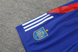 24-25 Spain (vest) Adult Jersey & Short Set Quality