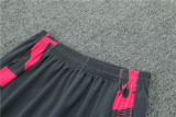 2024 Germany (Pink) Adult Sweater tracksuit set Training Suit