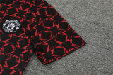 24-25 Manchester United (Training clothes) Set.Jersey & Short High Quality