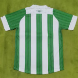 24-25 Coritiba PR home Fans Version Thailand Quality