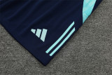 24-25 Arse (Training clothes) Set.Jersey & Short High Quality