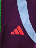 Player Version 24-25 Bayern München Long training pants Thailand Quality
