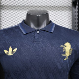 Long sleeve 24-25 Juventus FC Third Away Player Version Thailand Quality