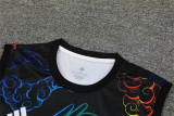 24-25 Real Madrid (vest) Set.Jersey & Short High Quality