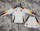 Long sleeve 2024 Germany home Adult Jersey & Short Set Quality