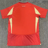 24-25 Al Ahly Cairo home Fans Version Thailand Quality