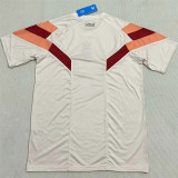 24-25 Olympique Lyonnais (Special edition) Fans Version Thailand Quality