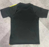 24-25 Atlético Mineiro (Training clothes) Fans Version Thailand Quality