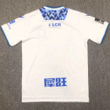 24-25 AJ Auxerre home Fans Version Thailand Quality