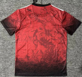 25-26 Liverpool (Special edition) Fans Version Thailand Quality