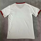2024 Palestine Away Fans Version Thailand Quality