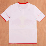 2010 New York Red Bulls Retro Jersey Thailand Quality