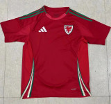 2024 Wales home Fans Version Thailand Quality