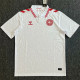 2024 Denmark Away Fans Version Thailand Quality