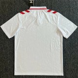 2024 Denmark Away Fans Version Thailand Quality