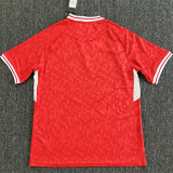 2024 Denmark home Fans Version Thailand Quality