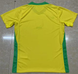 2025 Brazil home Fans Version Thailand Quality