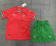 2025 Portugal home Adult Jersey & Short Set Quality