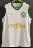 24-25 SE Palmeiras (vest) Fans Version Thailand Quality