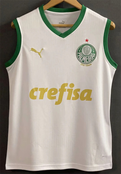 24-25 SE Palmeiras (vest) Fans Version Thailand Quality