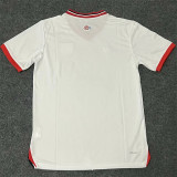 24-25 Lille (Special Edition) Fans Version Thailand Quality