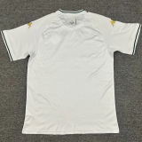 2025 Tunisia Away Fans Version Thailand Quality