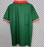 2025 Ireland home Fans Version Thailand Quality