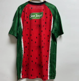 25-26 Palestino Third Away Fans Version Thailand Quality