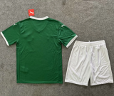 25-26 SE Palmeiras home Set.Jersey & Short High Quality