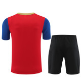 24-25 FC Barcelona (Training clothes) Set.Jersey & Short High Quality