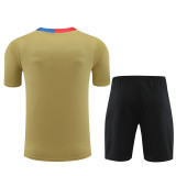 24-25 FC Barcelona (Training clothes) Set.Jersey & Short High Quality